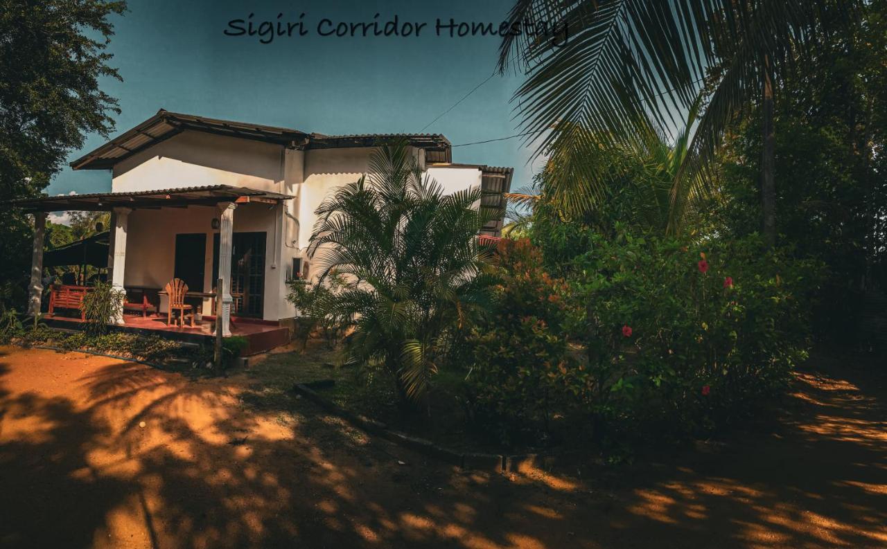 Sigiri Corridor Home Stay Σιγκιρίγια Εξωτερικό φωτογραφία