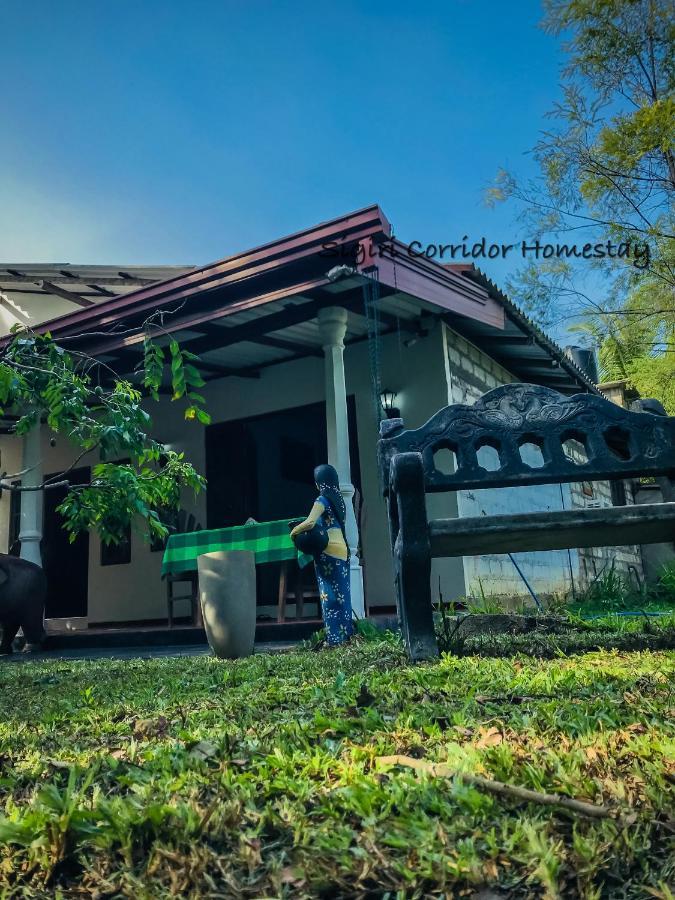 Sigiri Corridor Home Stay Σιγκιρίγια Εξωτερικό φωτογραφία