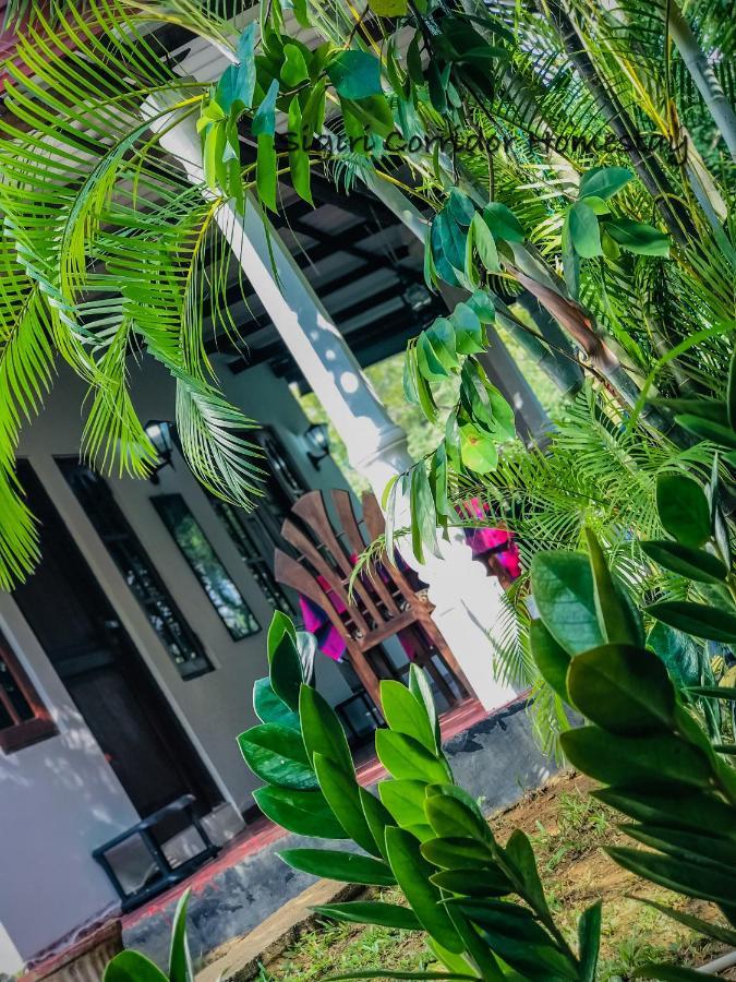 Sigiri Corridor Home Stay Σιγκιρίγια Εξωτερικό φωτογραφία